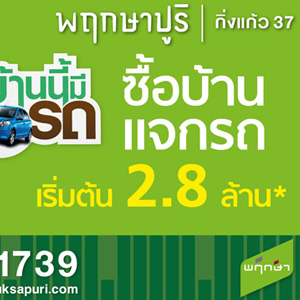logo pruksa